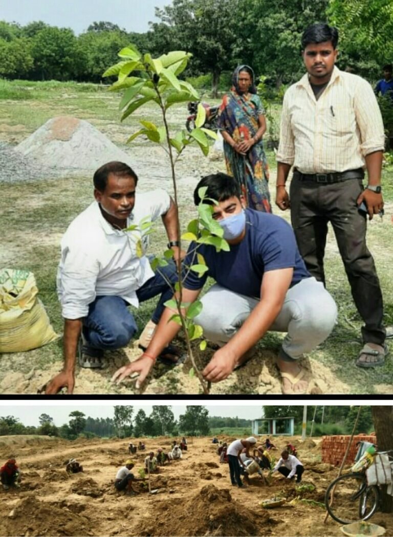 विकासखंड सरोजिनी नगर के 47 ग्राम पंचायत में लगभग 98000 पौधों का रोपण किया गया